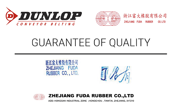 Chinese belt manufacturer Zhejiang Fuda Rubber hits new low